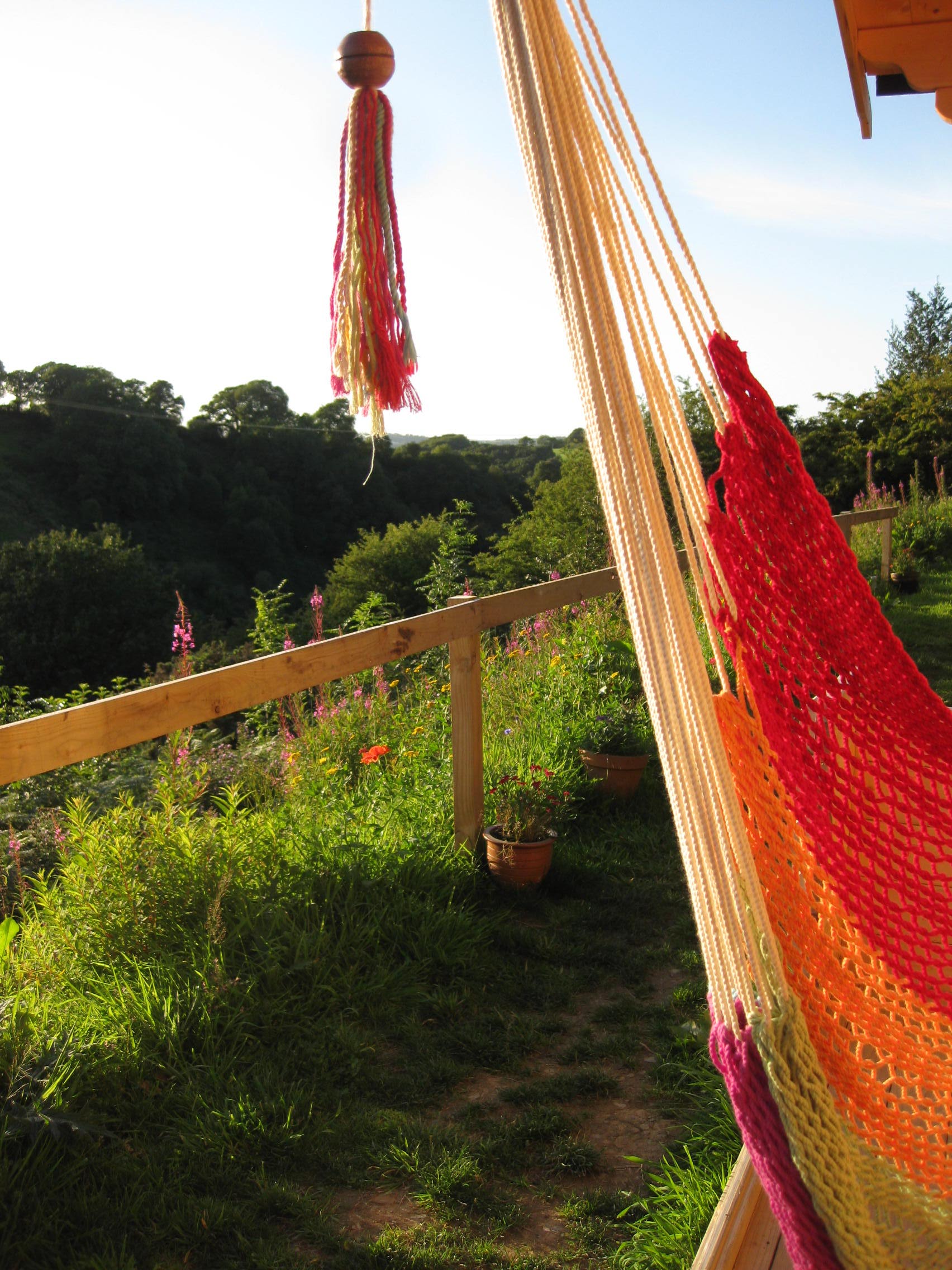 View from the hammock.JPG